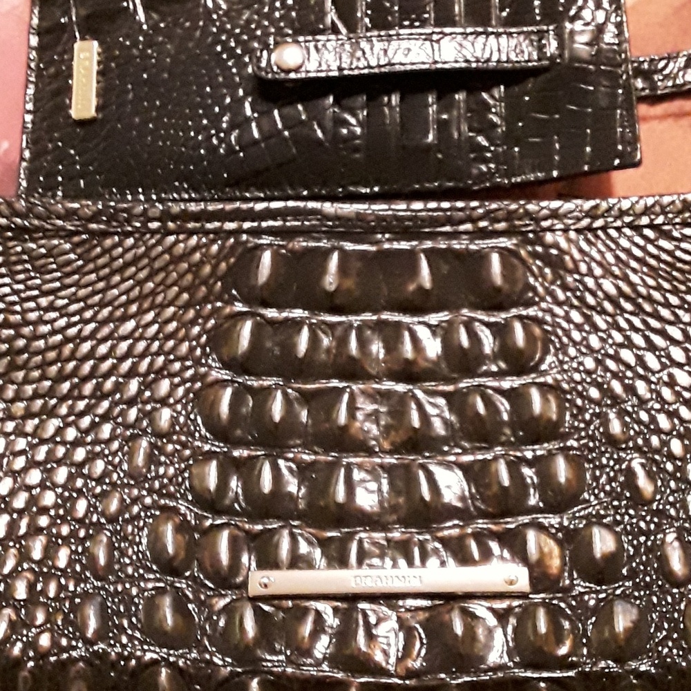 Brahmin clutch and wallet